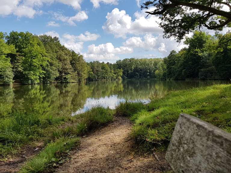Pfaffensee Pfaffensee Runde von Sonnenberg Wanderung Komoot