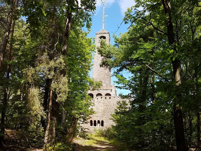 Bismarckturm Wanderungen und Rundwege komoot
