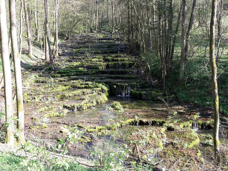 Sinterterrassen der Lillach: Wanderungen und Rundwege | komoot