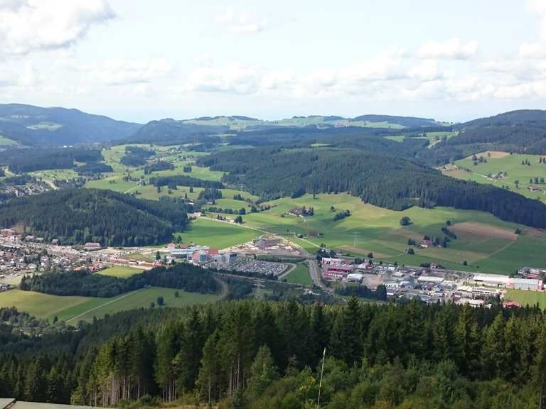 Hochfirstturm und Rasthaus Hochfirst Wanderungen und Rundwege komoot