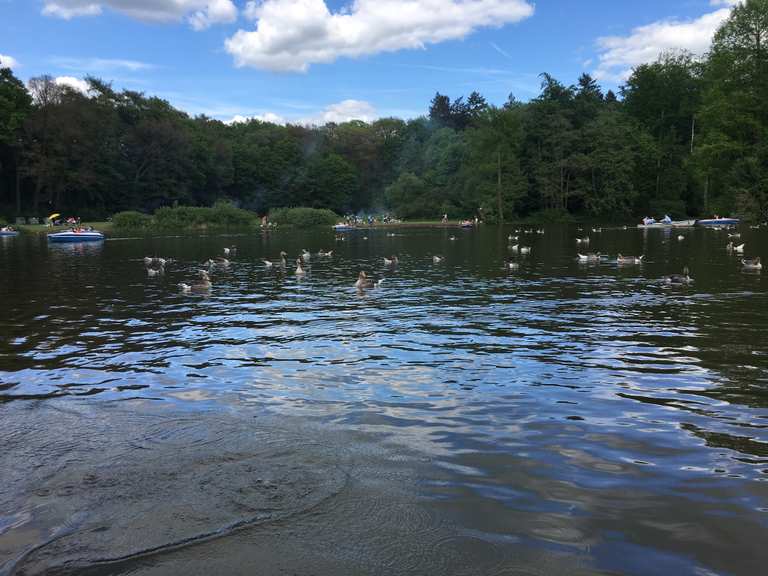 Freizeitpark Oberwaldhaus am Steinbrücker Teich Wanderungen und