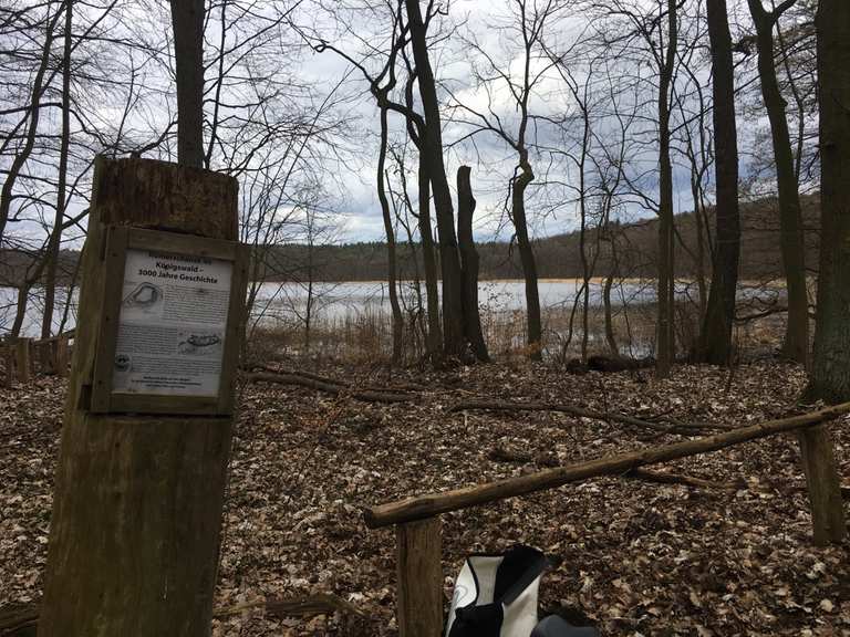 Römerschanze 3000 Jahre Geschichte im Königswald Radtouren und