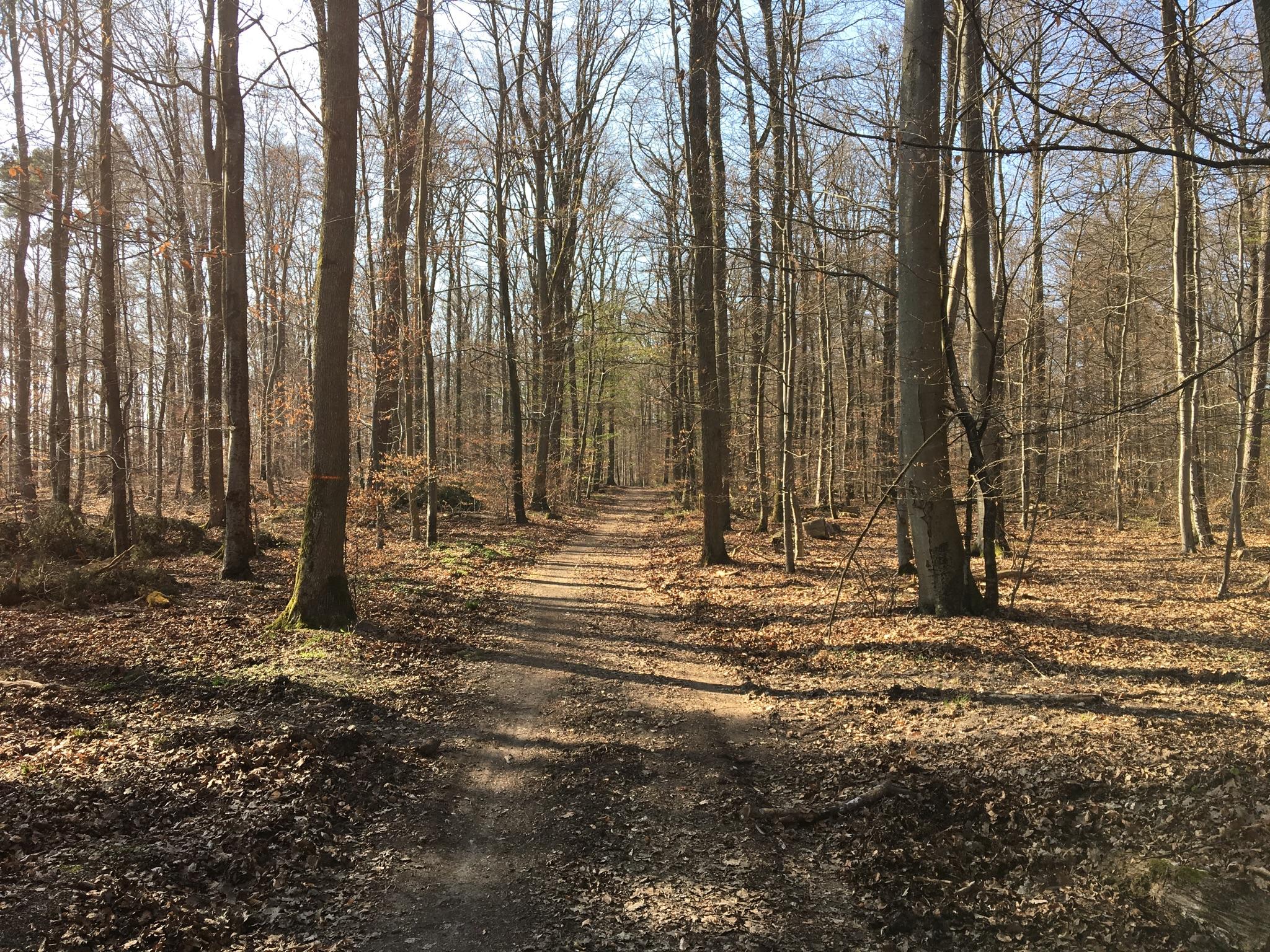 Kartenübersicht