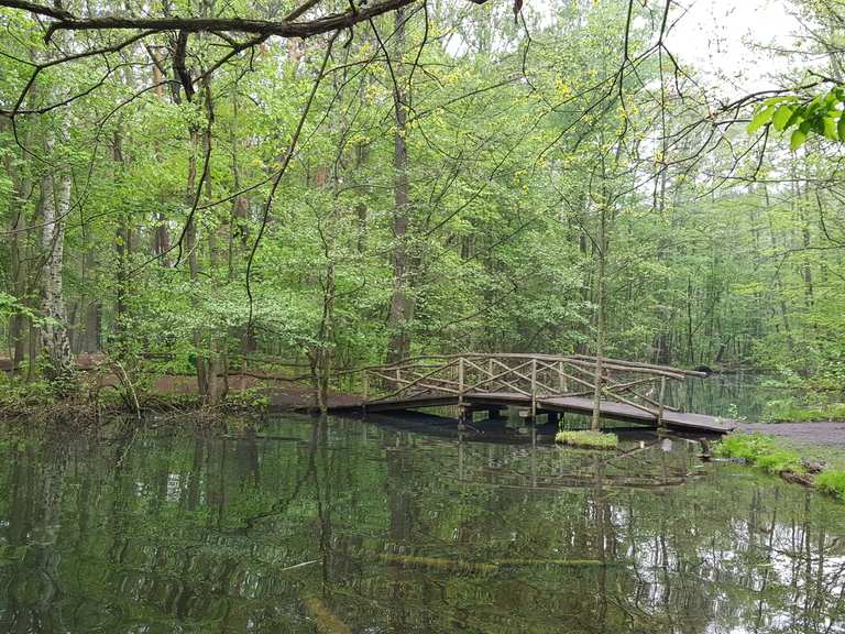 Wildgehege im Spandauer Forst: Wanderungen und Rundwege | komoot