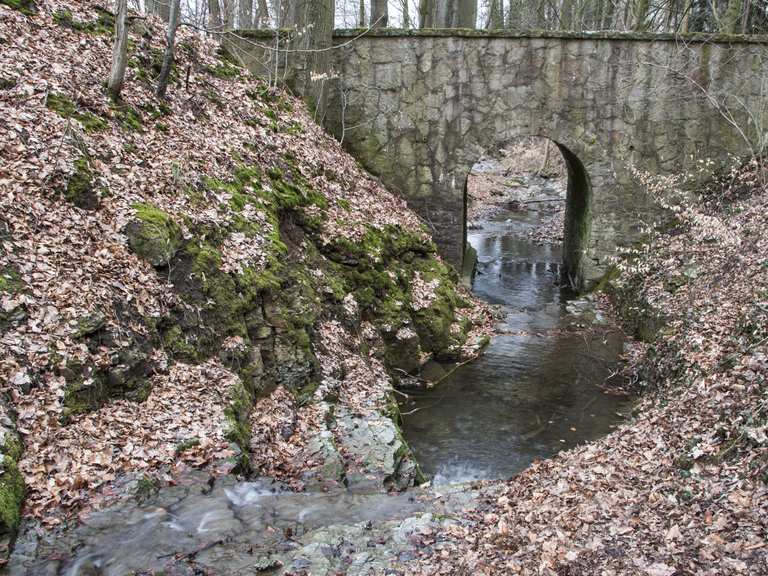 Patensteig - Rickbachschlucht: Wanderungen und Rundwege | komoot