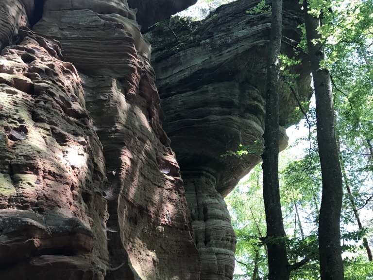 Altschlossfelsen Wanderungen und Rundwege komoot