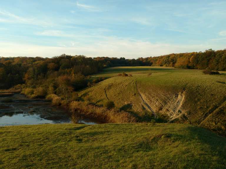 Giesener Teiche / Dreisch Wanderungen und Rundwege komoot