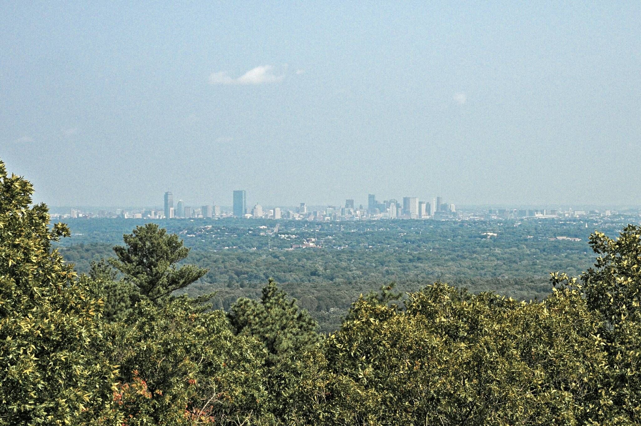 Distant city skyline visible over a vast green forest on a clear day. - Skyline Trail