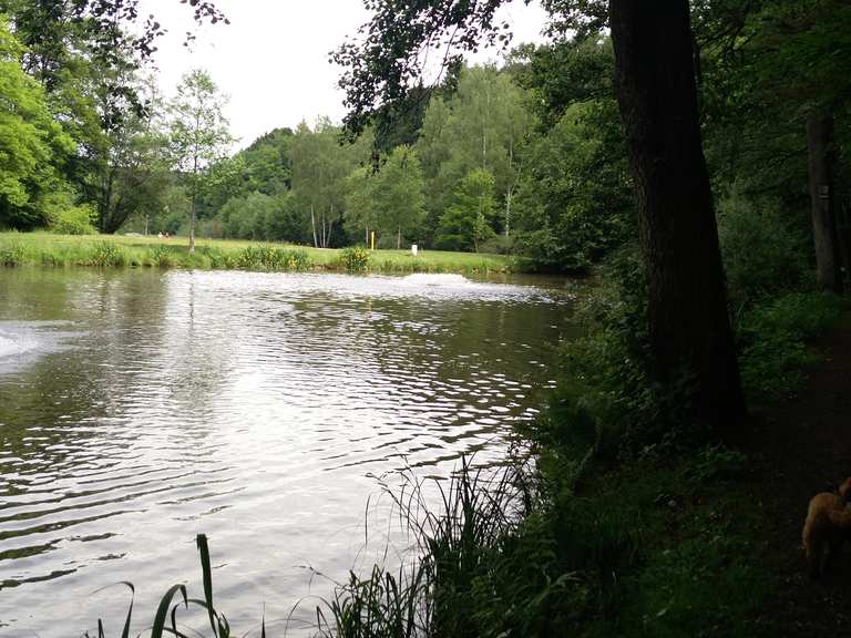 Eisweiher Wanderungen und Rundwege komoot