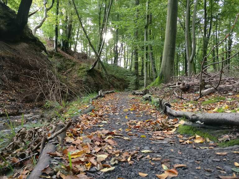 Patensteig Rickbachschlucht Wanderungen und Rundwege komoot