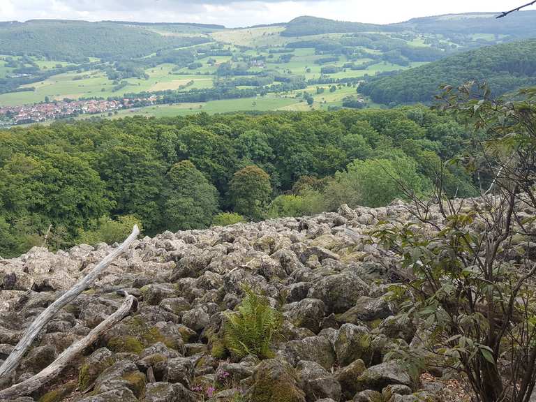 Schafstein Wanderungen und Rundwege komoot