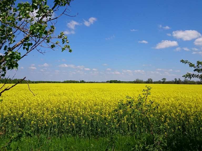 LE - Blick auf Breitenfeld : Radtouren und Radwege | komoot