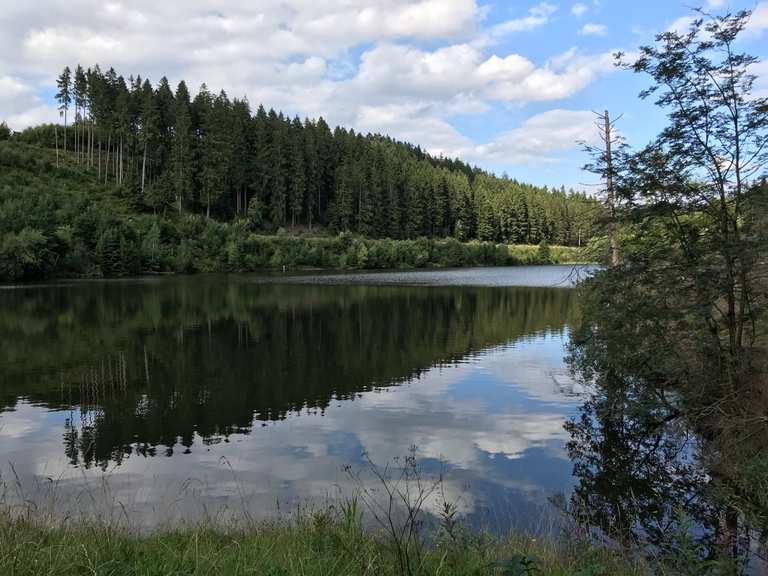 Unterer Spiegeltaler Teich MountainbikeTouren und Trails komoot