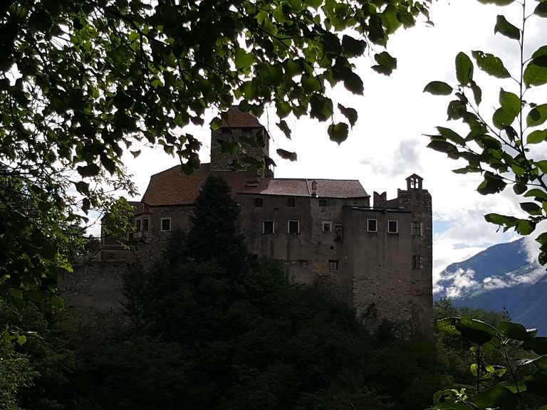 Schloss Dornsberg Wanderungen und Rundwege komoot