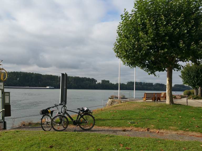 fahrrad und personenfähre budenheim niederwalluf walluf