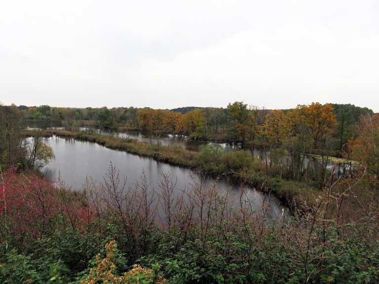 Niedermoorwiesen am Tegeler Fließ: Wanderungen und Rundwege | komoot