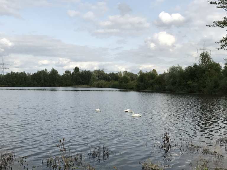 Seen bei Koldingen Koldinger Teiche / 2 Bänke Runde von Hannover