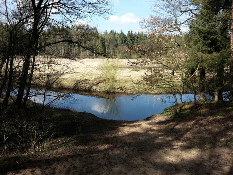 Römerschanze Radtouren und Radwege komoot