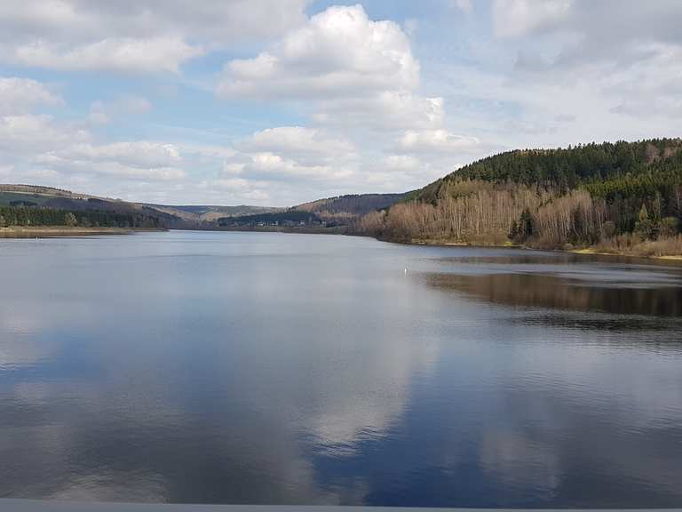 Talsperre Rauschenbach – Wildgehege Loop from Neuhausen | hike | Komoot