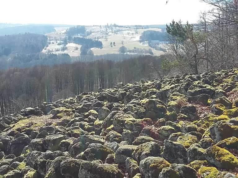 Schafstein Wanderungen und Rundwege komoot