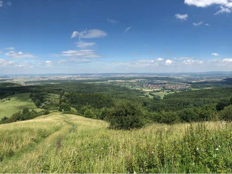 Dörnberg - Mountain Bike Trails & Tracks | Komoot