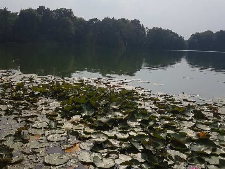 Bornbruchsee Radtouren und Radwege komoot