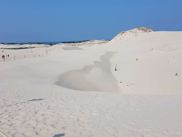 Wydma Lacka (Wanderdüne bei Leba) Wanderungen und Rundwege komoot