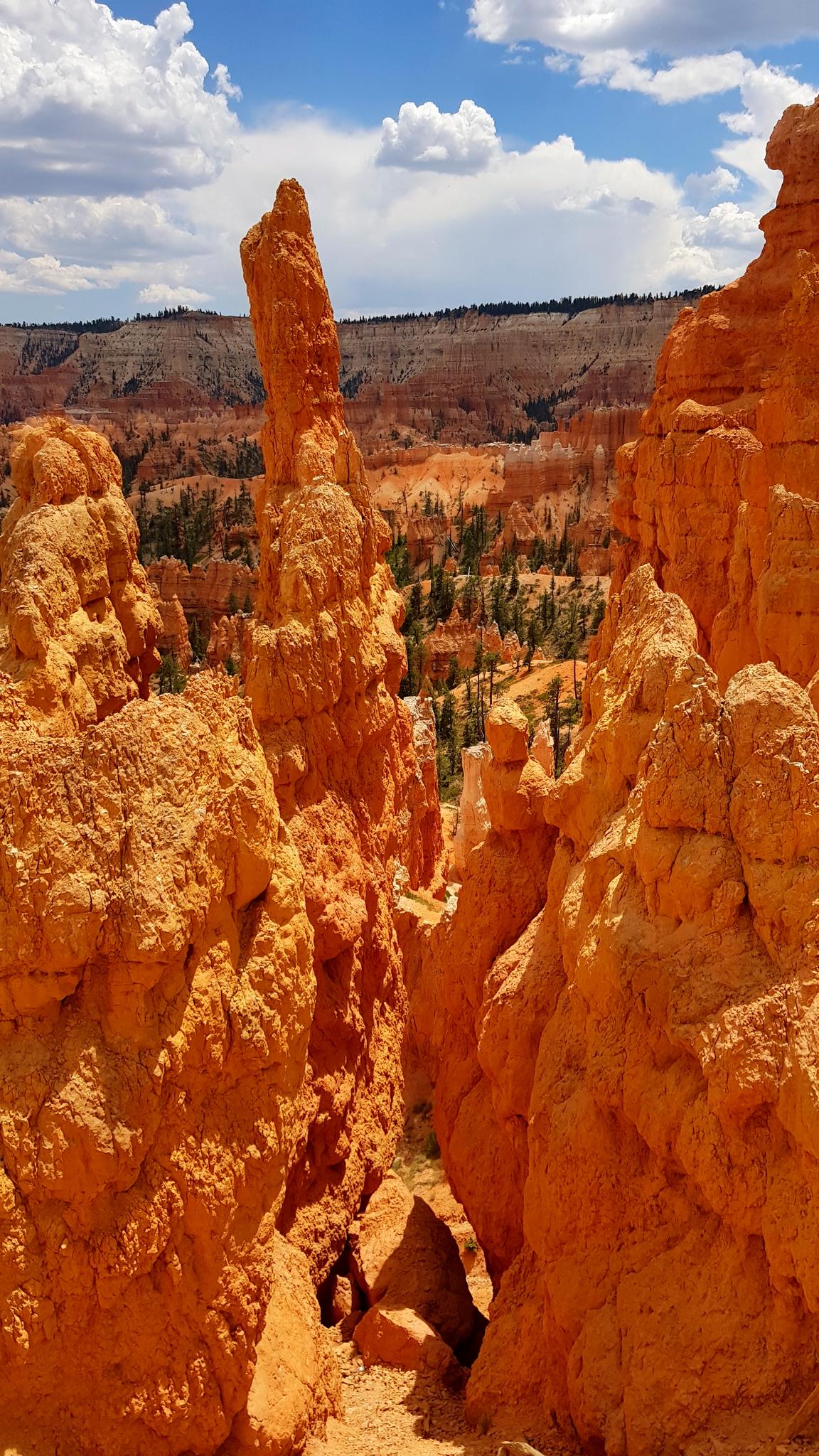 Narrow canyon path between towering orange rock spires, bright sky.