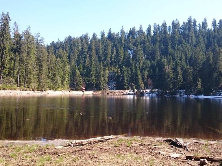 Glaswaldsee Wanderungen und Rundwege komoot