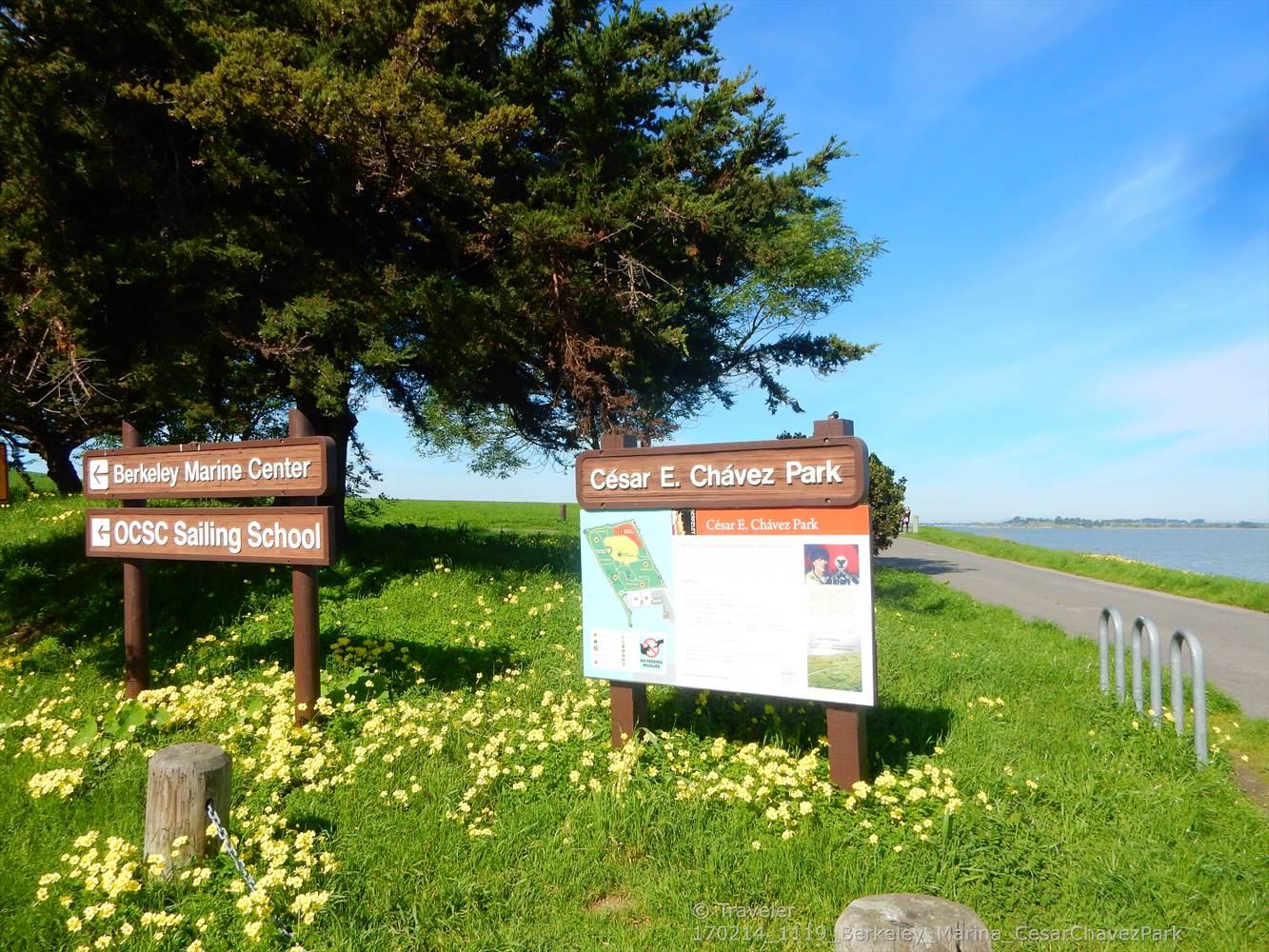Two park signs in a grassy field with yellow flowers by the water.