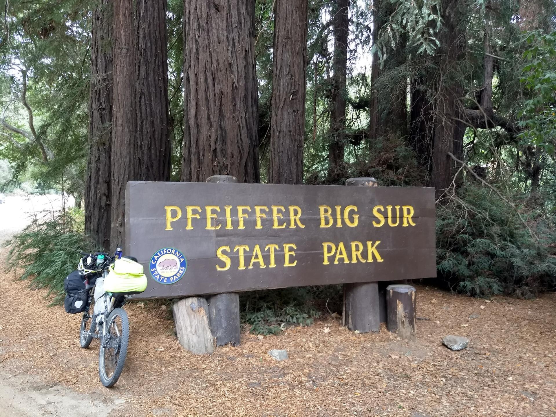 A wooden sign stands beside a bicycle in a tall forest.