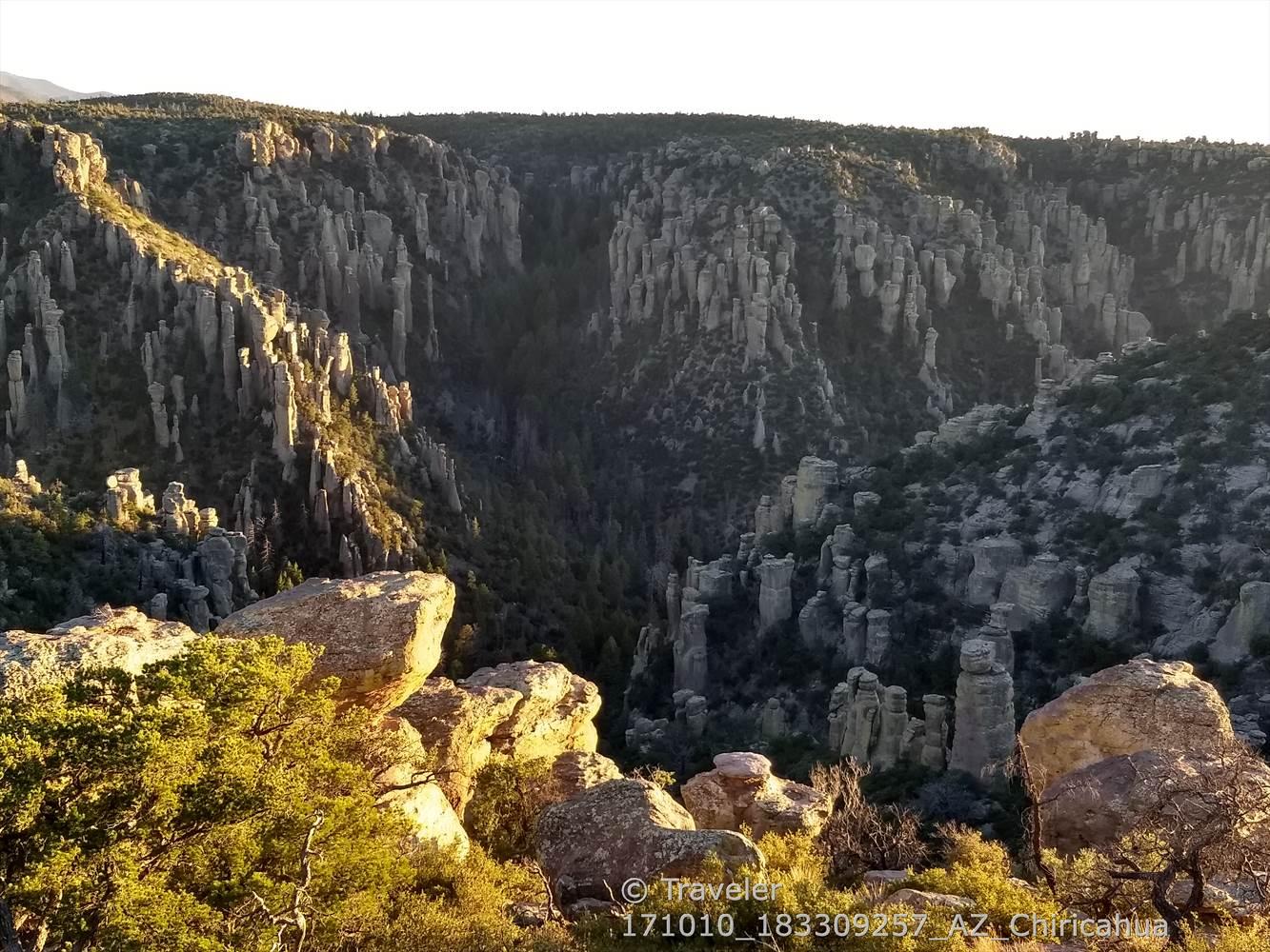 Deep canyon with many rock pillars, illuminated by golden hour sunlight.