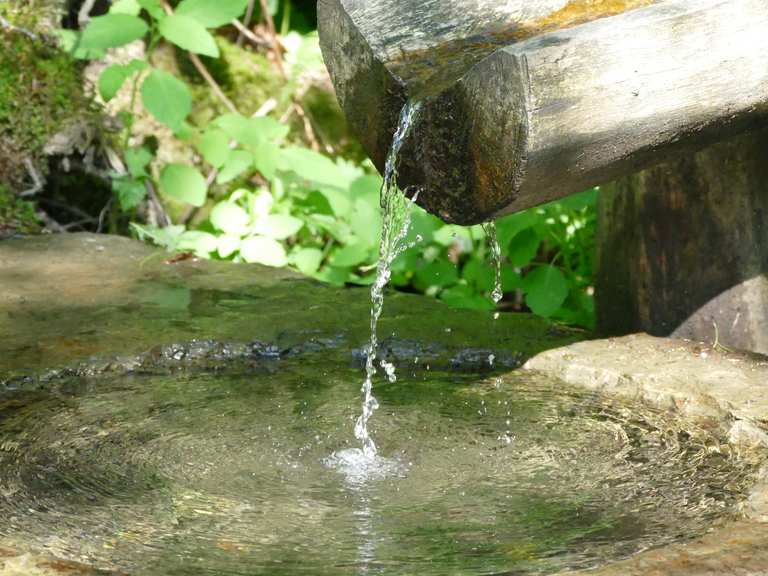 Siegquelle Wanderungen und Rundwege komoot