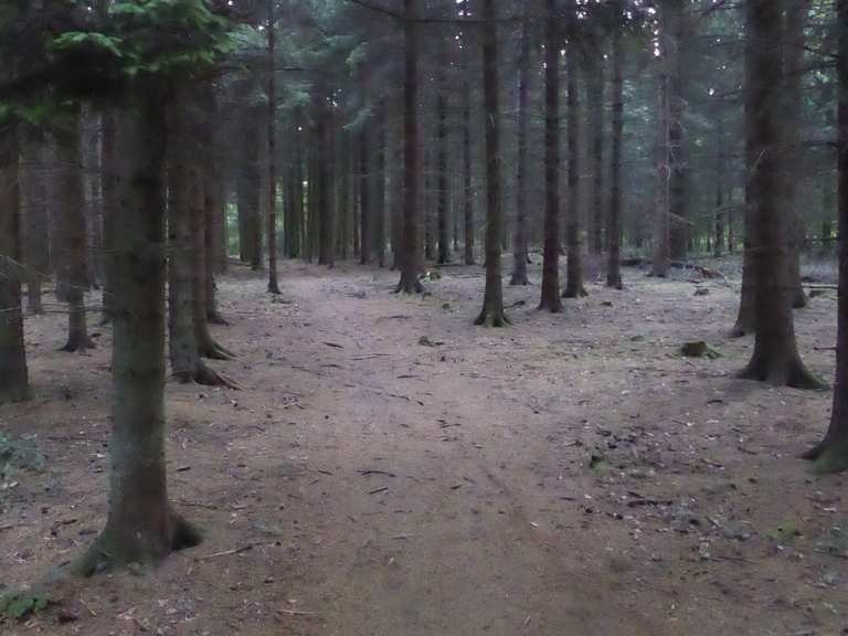 Single trail wuppertal