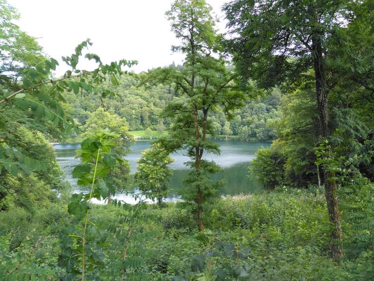 Die Dauner Maare Wanderungen und Rundwege komoot