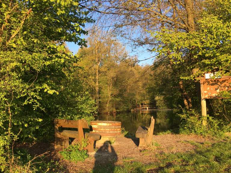 Waldsee MountainbikeTouren und Trails komoot