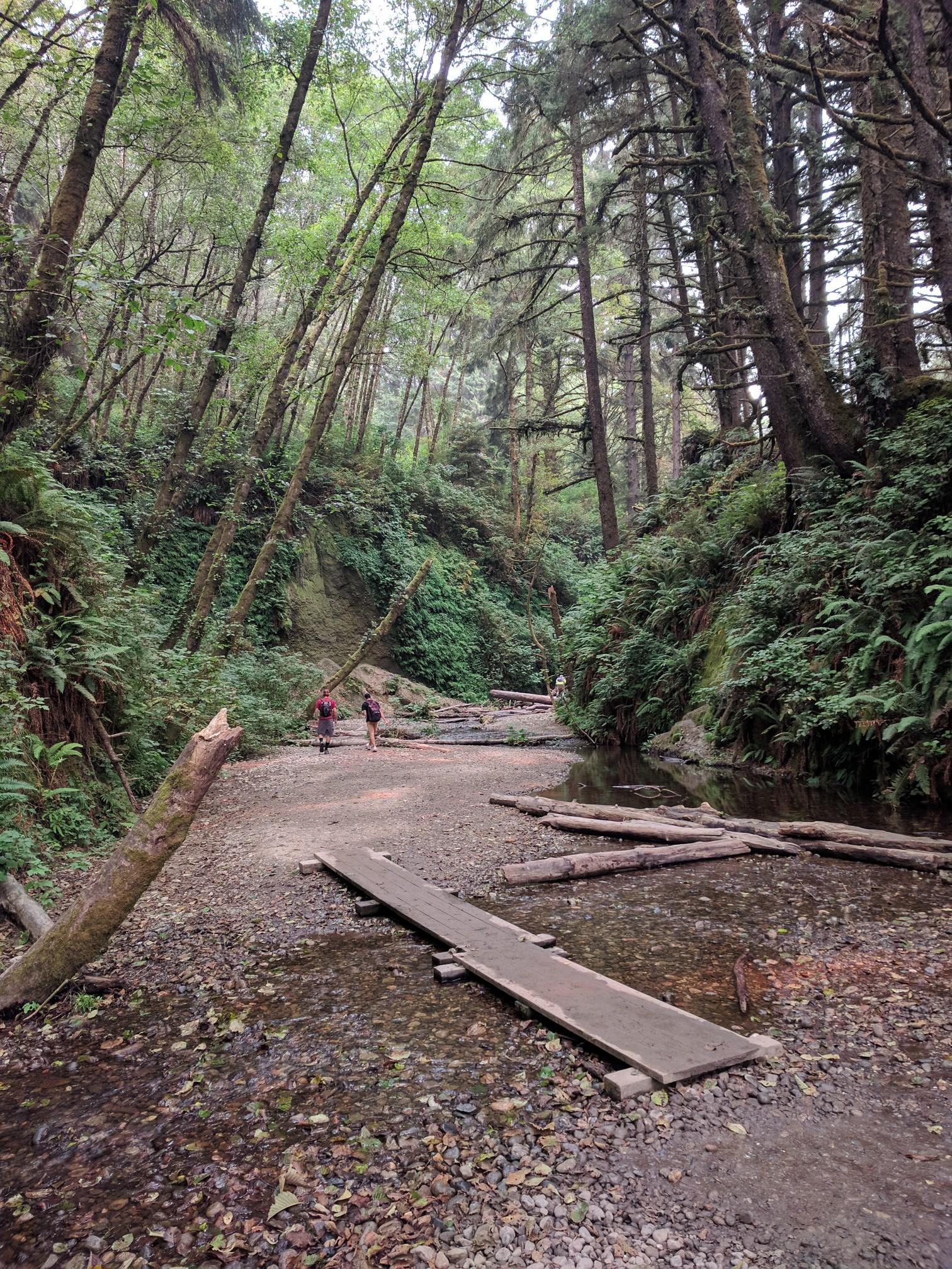 Two people walk in a wide, rocky stream bed surrounded by tall trees.