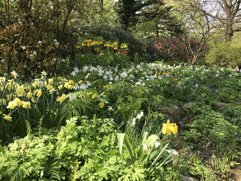 Botanischer Garten der CAU Wanderungen und Rundwege komoot