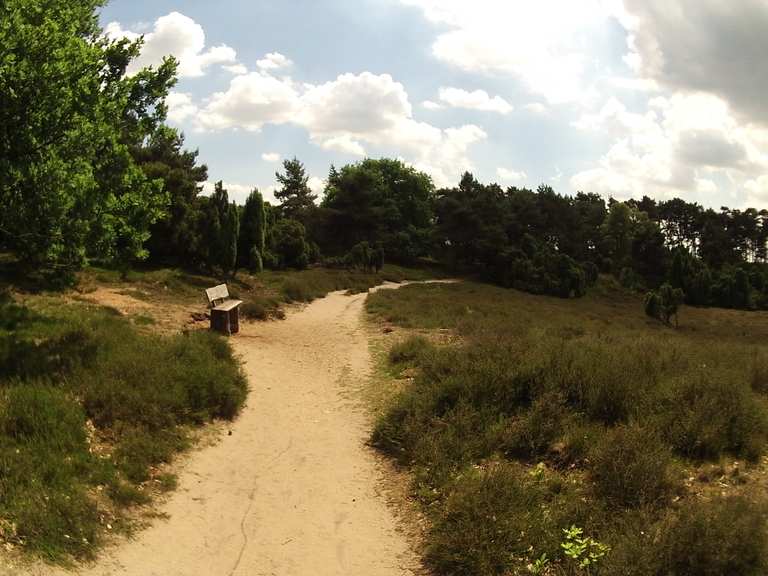 Westruper Heide Haltern am See, Recklinghausen