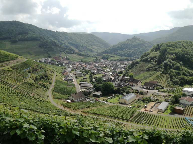 Blick auf Mayschoß: Wanderungen und Rundwege | komoot
