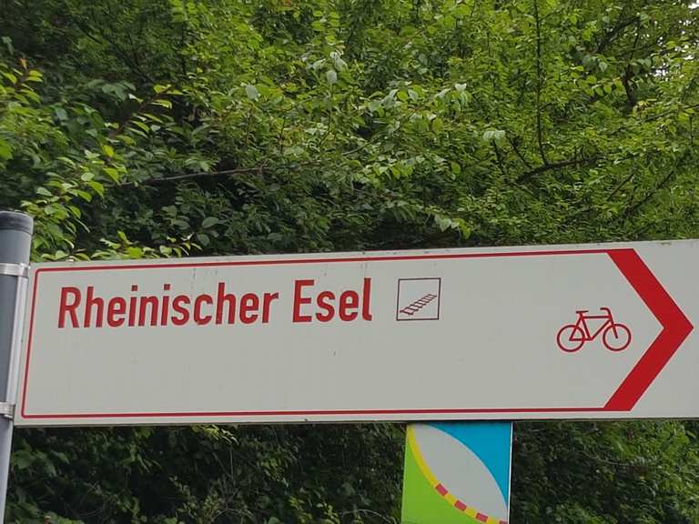Rheinischer Esel - Start-/Endpunkt : Radtouren und Radwege | komoot
