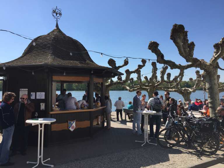 Eltviller Weinstand Radtouren und Radwege komoot