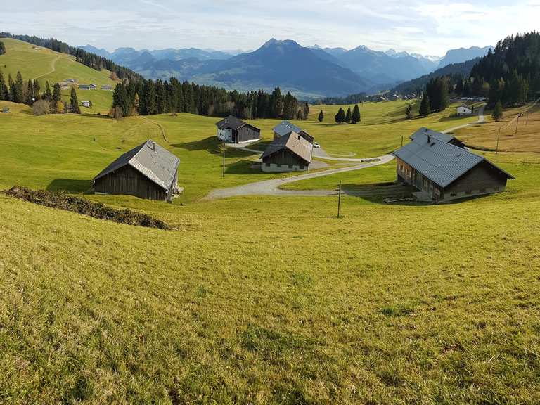 Hochälpelekopf Wanderungen und Rundwege komoot