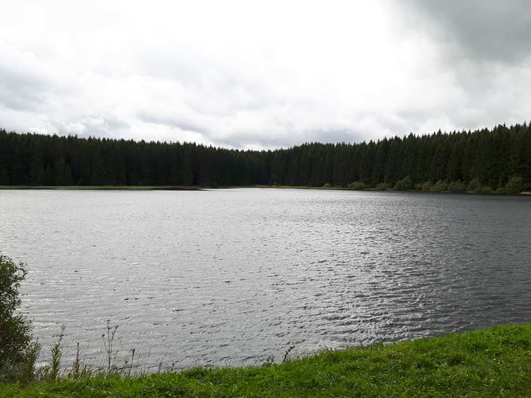 Oberer Hahnebalzer Teich Oberharzer Wasserregal Runde von Gittelde