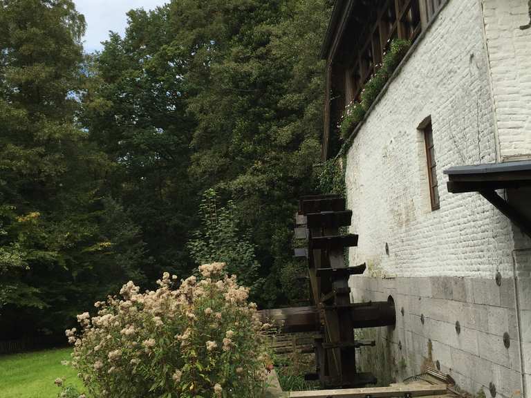 Molzmühle Wanderungen und Rundwege komoot