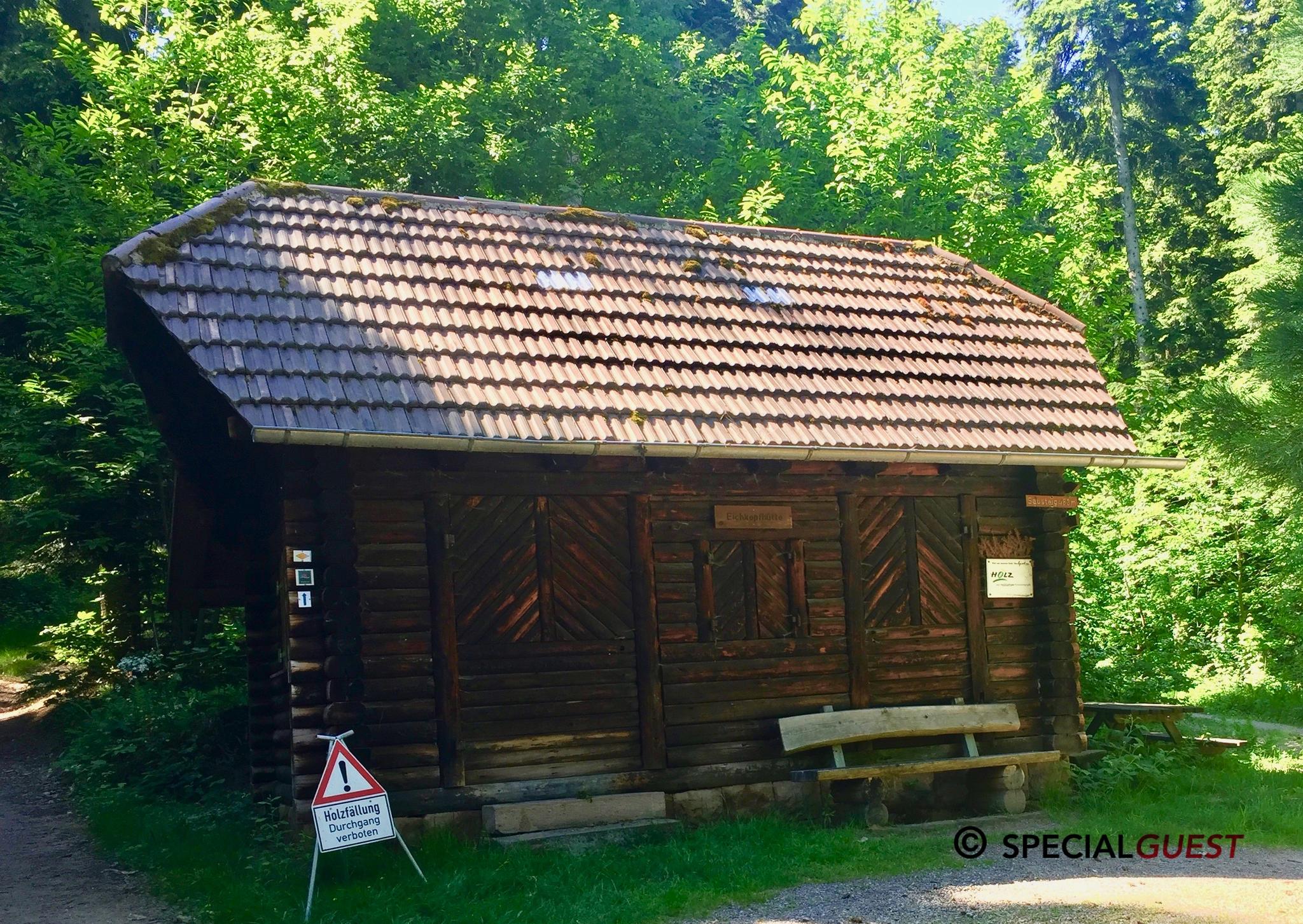 Wanderung Auf Dem Karlsruher Grat – Wandern Im Schwarzwald