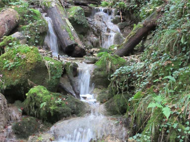 Irreler Wasserfälle – Teufelsschlucht Loop from Irrel | hike | Komoot