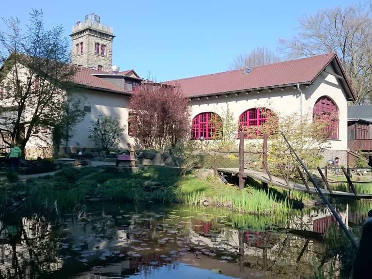 Butterberg mit Aussichtsturm und Gasthaus Routes for Walking and Hiking Komoot
