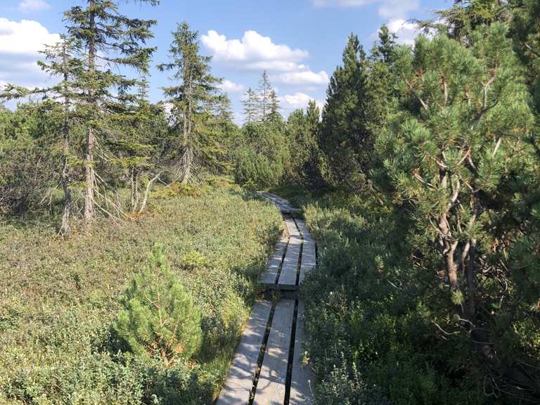 Latschensee Wanderungen und Rundwege komoot