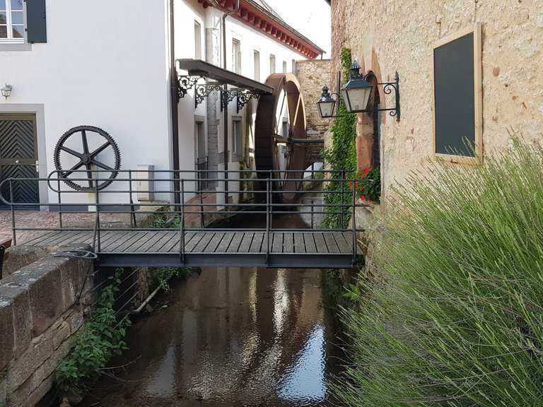 Eckbach Mühlenweg in Großkarlbach Radtouren und Radwege komoot